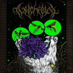 Dead Nights of the Moon Fear